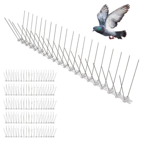 Image de 'Pointes répulsives contre les pigeons 30cm - 12u'